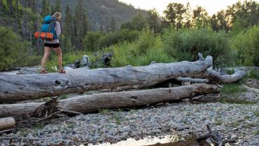 backpacking crossing log