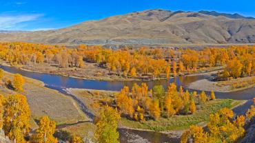 Big Hole river in autumn