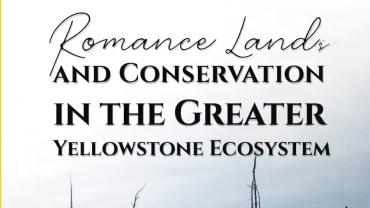 romance lands book