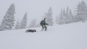 ski touring with dog