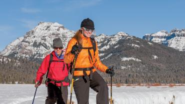 snowshoeing yellowstone