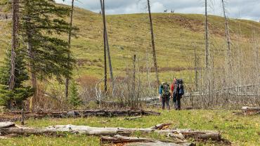 backpacking yellowstone