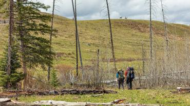 backpacking yellowstone