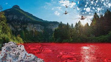 bozeman plagues