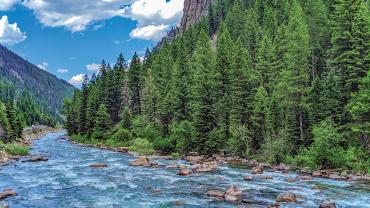 Gallatin river