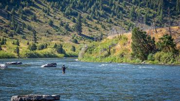bear trap wade fishing