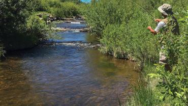 small mountain creek fishing