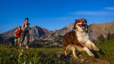 Trail running with dog