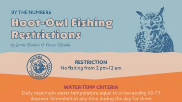 Understanding Hoot Owl Restrictions