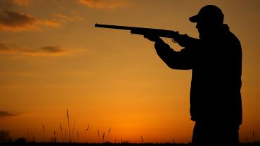bird hunter sunset