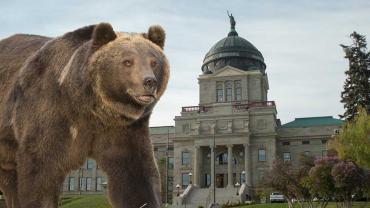 Montana Wildlife Federation, Montana 2017 Legislature