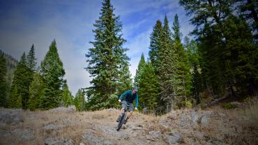 Hatch Adventures, Montana Mountain Biking, Targhee Creek Trail