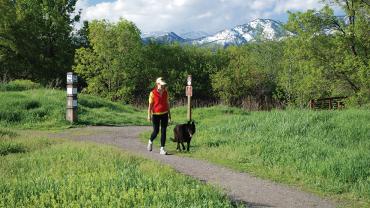 dogs, pets in montana, bozeman dog parks, pet manners, outside bozeman