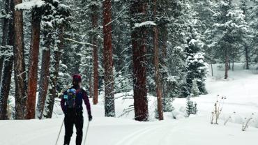 Cross country skiing, Bozeman winter activities, 