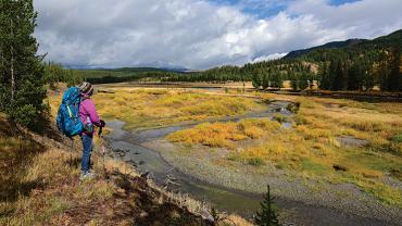 hiking, yellowstone park, river, forest