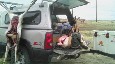 Meat Handling, Quartering, Hunting, Field Dressing, Meat, Cooler, Carcass, Big Game, Small Game