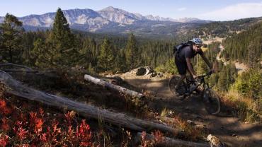 Montana Mountain Biking, Fall Bikes Rides Bozeman