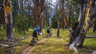 Bikers, Trail, Portal Creek, Porcupine Ridge
