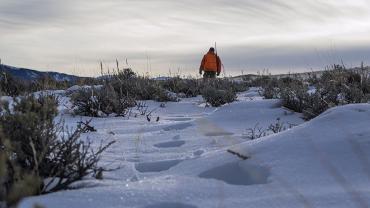 elk hunting, snow, cold