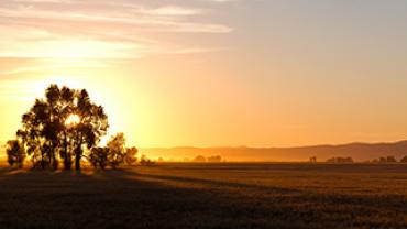 Hunting, Prairie, Plains, Sage, Bozeman, Montana