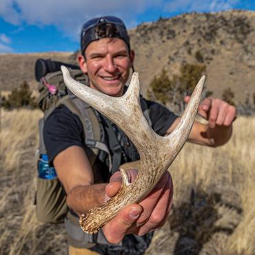 Montana shed hunting, antler hunting, ATL, deer antler
