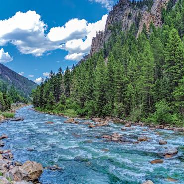 Gallatin river