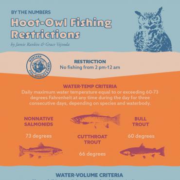 Understanding Hoot Owl Restrictions