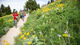 hiking, family, trails