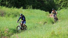 hiking, trails