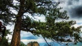 knowing yellowstone outside bozeman review