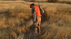 field dressing, pack out, hunting