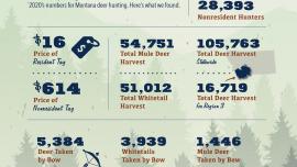 by the numbers, deer hunting, whitetail, stalk