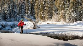 snowshoeing west yellowstone