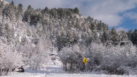 trails, bozeman, winter, hiking