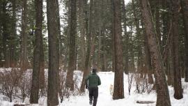 hiking, bozeman, winter, trails