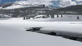 nordic skiing, cross country, yellowstone national park