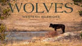 wolves: western warriors