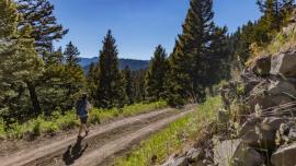 hiking, trails