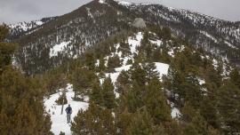 trail running, winter, bridgers, trails
