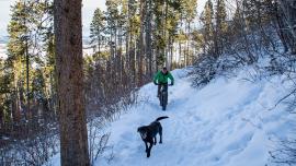 winter, trails, bozeman