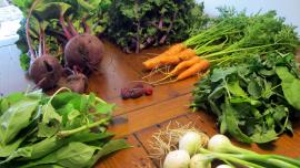 fresh vegetables