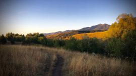 Highland Glen