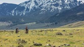 biking in bear country safety