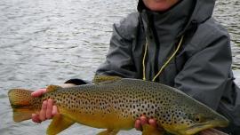 Fishing Guide, fishing in Montana, fly-fishing
