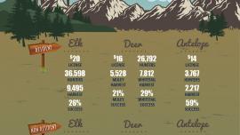 stalk hunting guide, montana