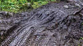Bike tire tracks in mud, muddy trail
