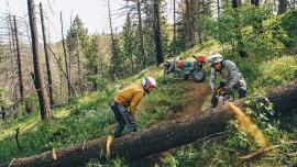 Cutting log off trail
