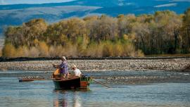 Fishing the Yellowstone
