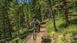 Biking Mountains to Meadows