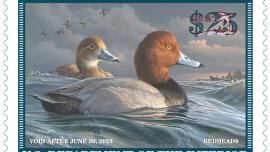 Duck stamp 2022-23